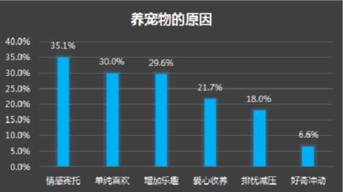 宠来了让宠物智能科技充满温度，因为更懂