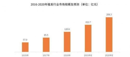 5年翻4番，200亿国内植发市场还在迅速扩张