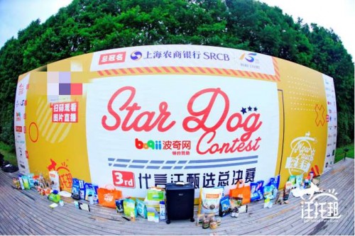<b>上海农商银行x太阳岛汪托邦宠星节宠物展引爆沪上宠物圈</b>