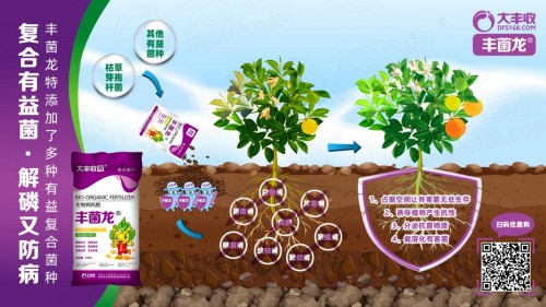 丰菌龙生物有机肥再次得到行业认可，斩获“生根调土明星产品”奖项！