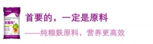 丰菌龙生物有机肥再次得到行业认可，斩获“生根调土明星产品”奖项！