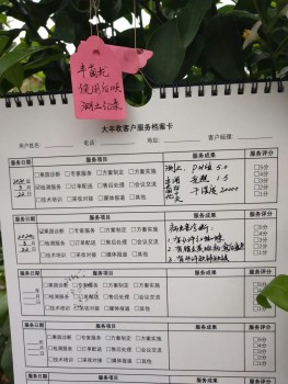 丰农创新产销案例：为婴儿果园提供的“种、学、管、卖”全程服务！ ?