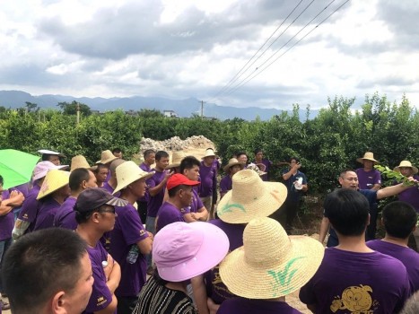 打造基地“样板间” ，带动地域特色农业再升级——大丰收基地企业家交流会贺州站成功召开