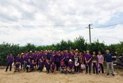 打造基地“样板间” ，带动地域特色农业再升级——大丰收基地企业家交流会贺州站成功召开