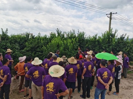 打造基地“样板间” ，带动地域特色农业再升级——大丰收基地企业家交流会贺州站成功召开