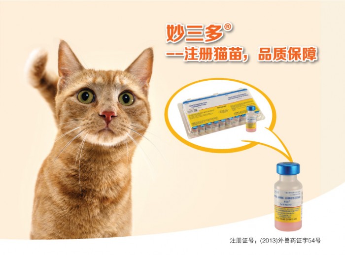 宠物也要打疫苗？猫咪疫苗难题一次说清！