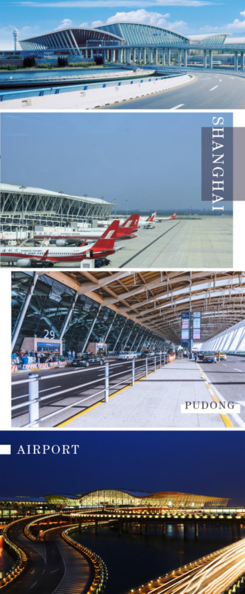 隆古装饰全力以赴上海浦东国际机场艺术文化升级呈现顶级艺术堪称文化
