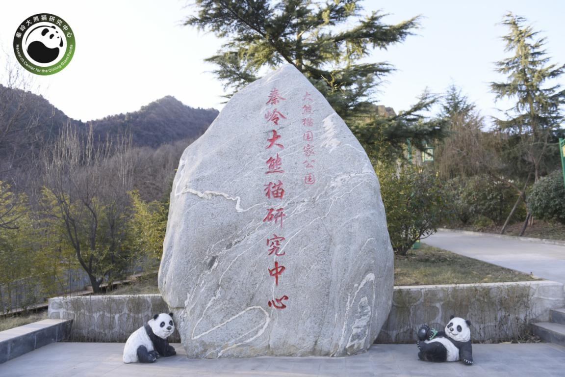 陕西将建设秦岭大熊猫科学公园 位于长安区滦镇(图2)
