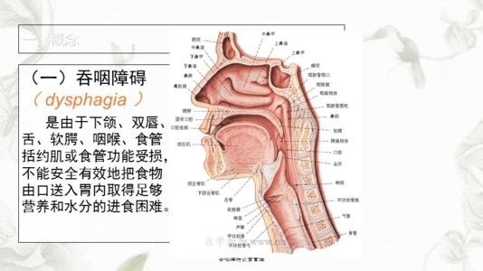 吃不下不是胃口不好，可能是需要HMB