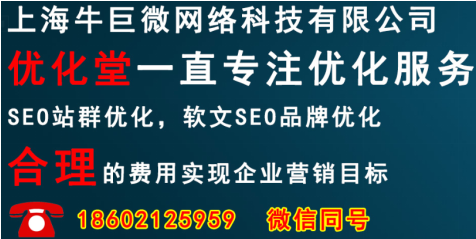 上海网络科技公司:上海牛巨微网络浅谈网站SEO如何营销效果最大化