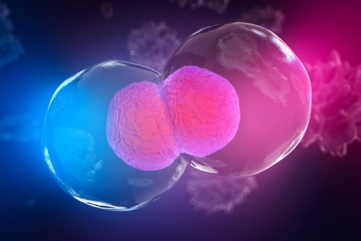 华夏源细胞集团 | 存储干细胞后，受益人有哪些？