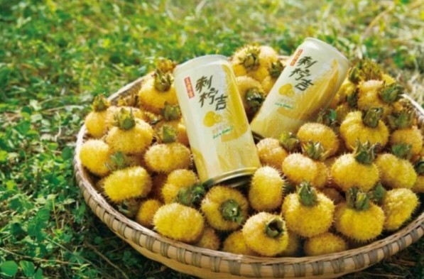 广药集团对口帮扶贵州刺梨产业，受益刺梨农户超21.7万人