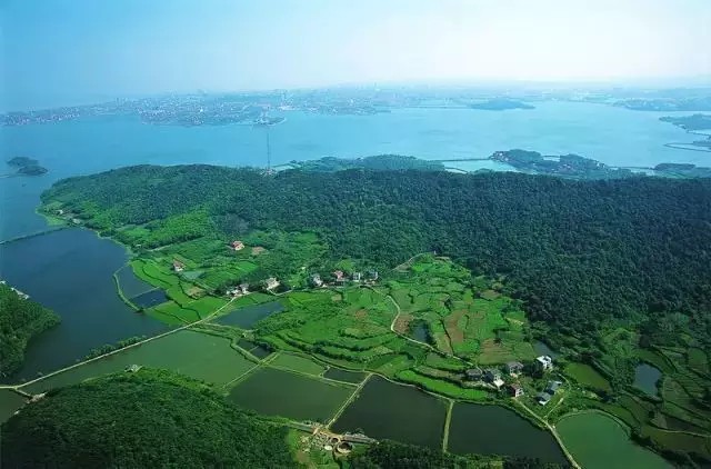 丽芮酒店落户湖南岳阳 邂逅湘楚文化艺术