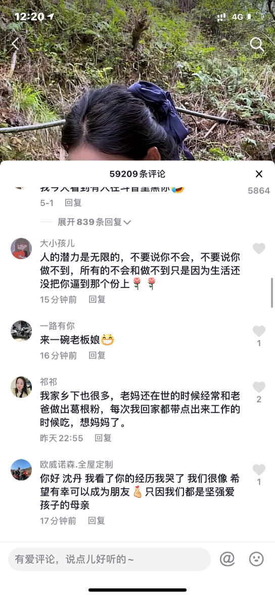 还原真实的乡愁沈丹，乡村生活是否真的“纯粹”？