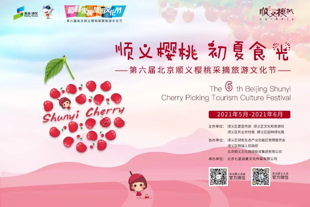顺义樱桃，初夏“食”光，第六届北京顺义樱桃采摘旅游文化节将开幕