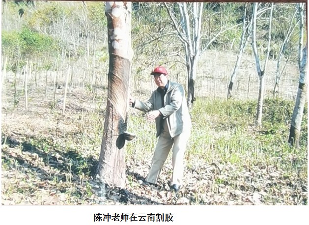 我国植物提取专家陈冲老师 为植提产业艰苦奋斗的战略科学家