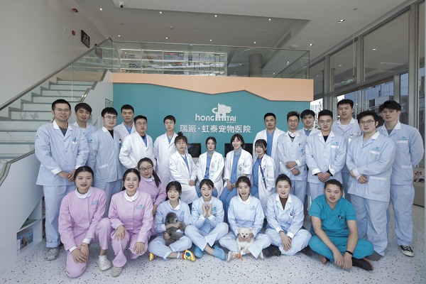 杭州24小时动物急诊医院，为爱宠架起生命的绿色通道！