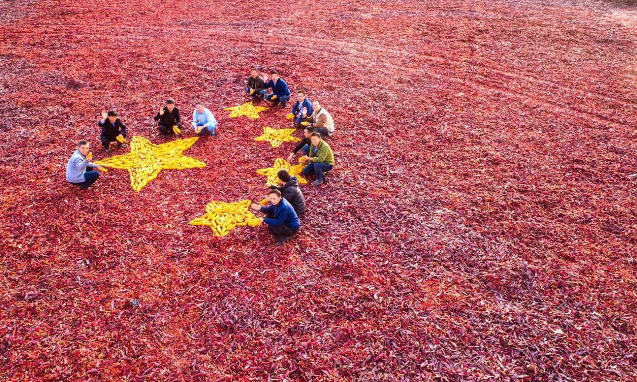 辣椒是调味料之王，晨光生物让世界吃上“中国辣”