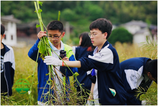 “双减”后，再看研学旅行热潮