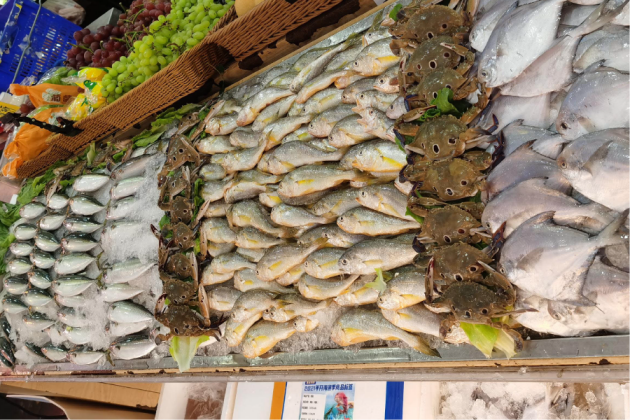 钱大妈开渔季销售额再攀高峰，打造生鲜行业“及时鲜”！