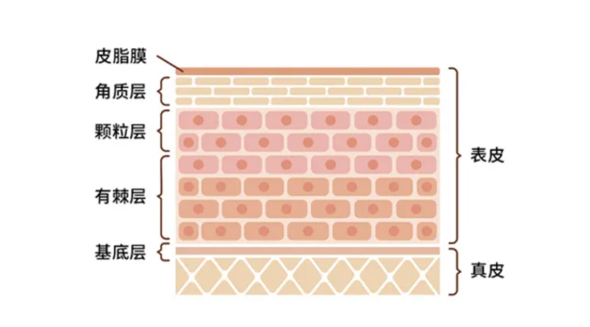 只会这样“补水”，再好的神仙产品也救不了你！