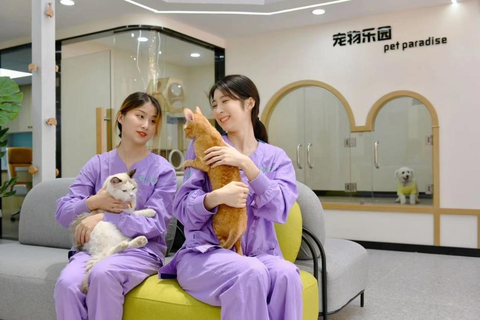 武汉市“三甲”动物医院再次定义宠物医疗新高度