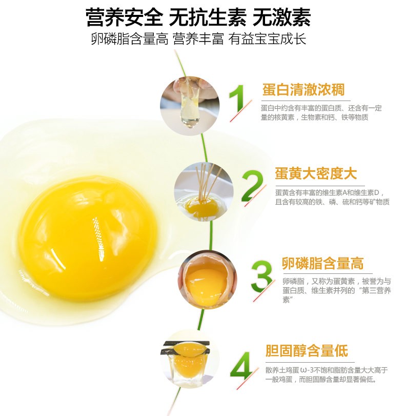 直达餐桌高端定制 DHA鸡蛋易吸收营养价值高满足国人营养所需