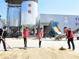 青年党员助农事，粮食增产获丰收