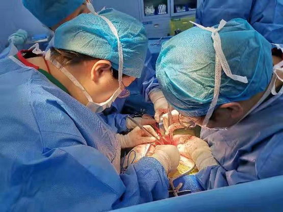 成功“拆弹”！上海大学附属孟超肿瘤医院妇科完成一例子宫广泛性切除术