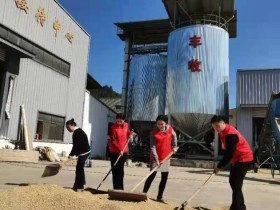 钦堂乡：以青年党员的担当架起企业和群众的“连心桥”