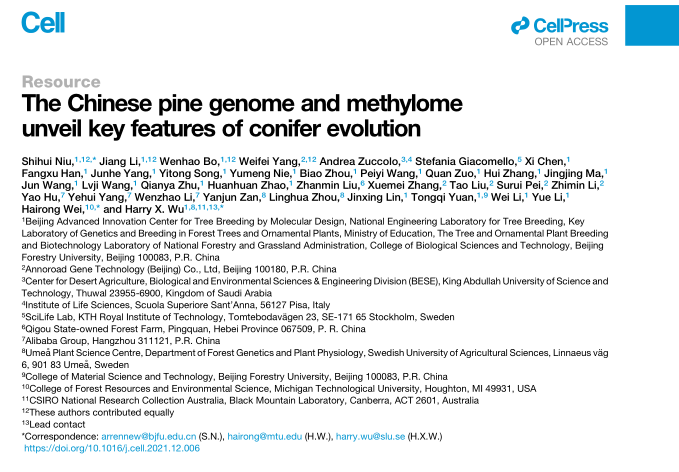 登顶Cell！北京林业大学联合安诺优达完成染色体水平的油松基因组组装和甲基化研究