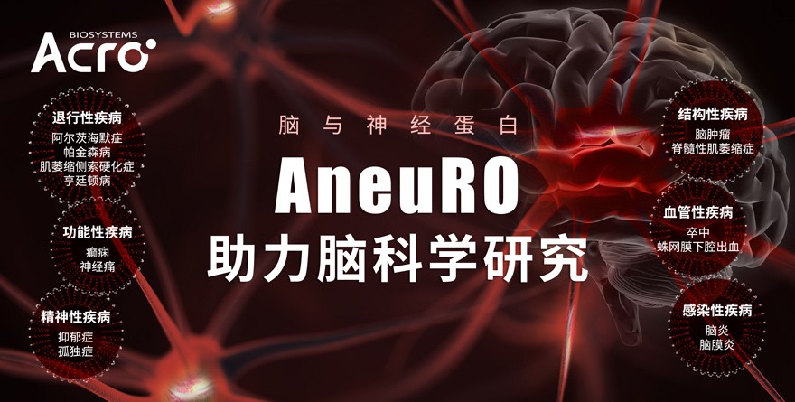 ACROBiosystems百普赛斯推出AneuRO脑与神经蛋白，助力加速脑科学研究