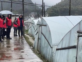 建德下涯：“老潘”再出动 草莓不会冷