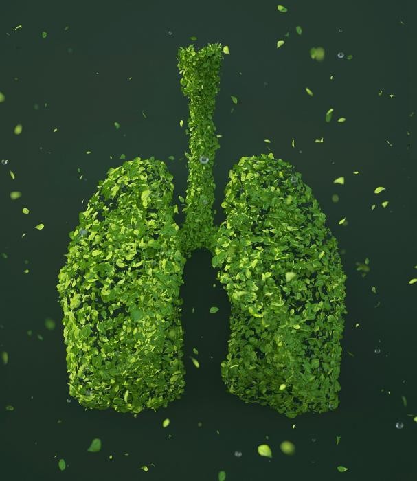 养肺润肺，从五种天然“清肺王”开始