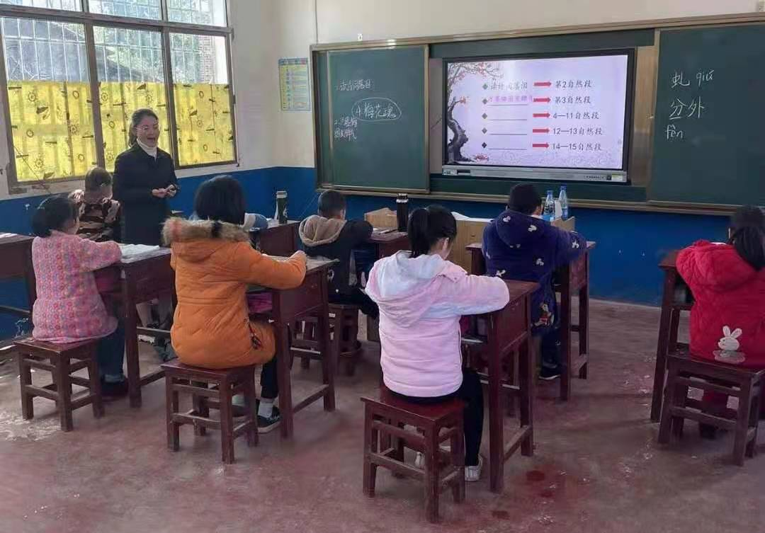 洞口县杨林镇优秀女教师助力山村教育