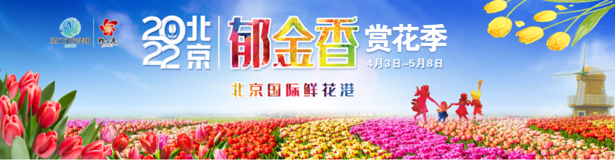 花开盛世！北京国际鲜花港即将迎来郁金香最美赏花季！