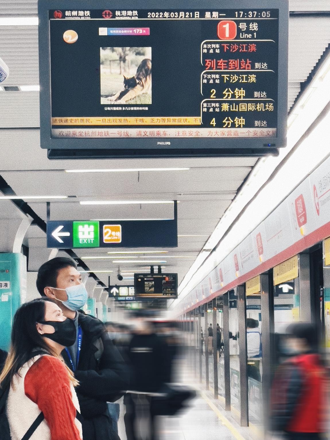 “爱宠青年公益影像计划“上线杭州地铁屏 高校流浪动物生存引发思考