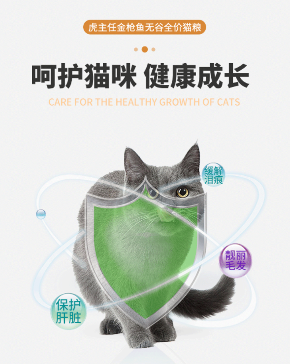 虎主任献给城市猫咪自然的爱