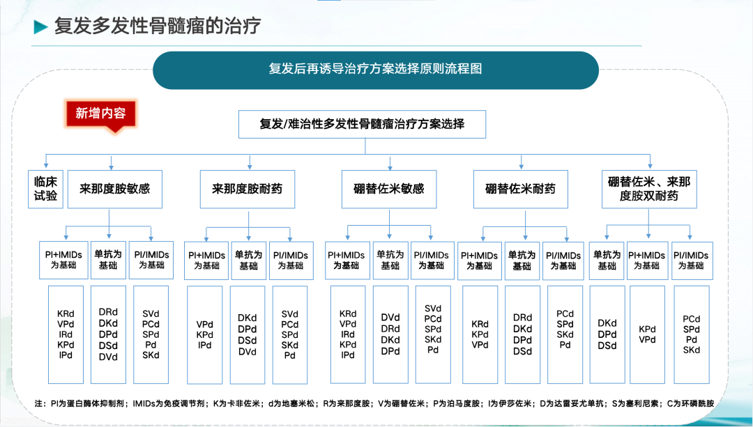中国多发性骨髓瘤诊治指南（2022年修订）更新要点解读