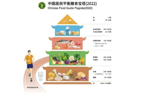 《中国居民膳食指南（2022）》发布 荷乐士坚果奶营造健康饮食体验