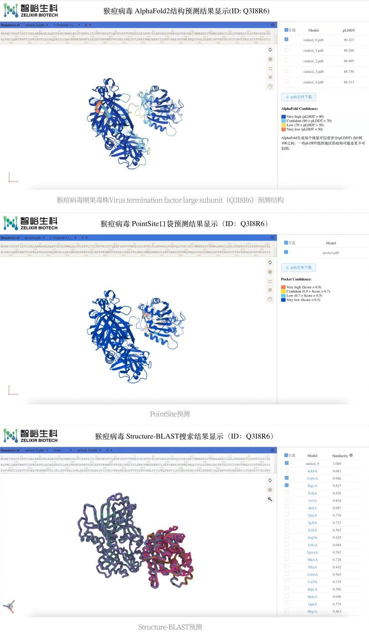 全球猴痘疫情拉响“警报” 智峪生科火速预测猴痘病毒全基因组蛋白质结构信息