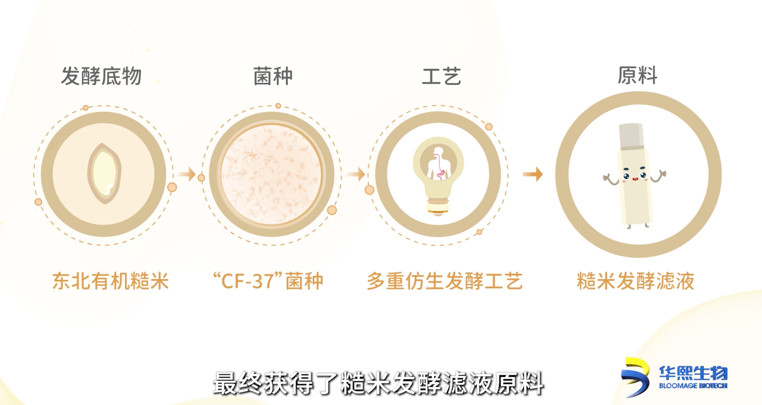 k1体育官方网站BM肌活糙米水爆火的秘密：源自华熙生物糙米发酵滤液的神奇效用(图3)