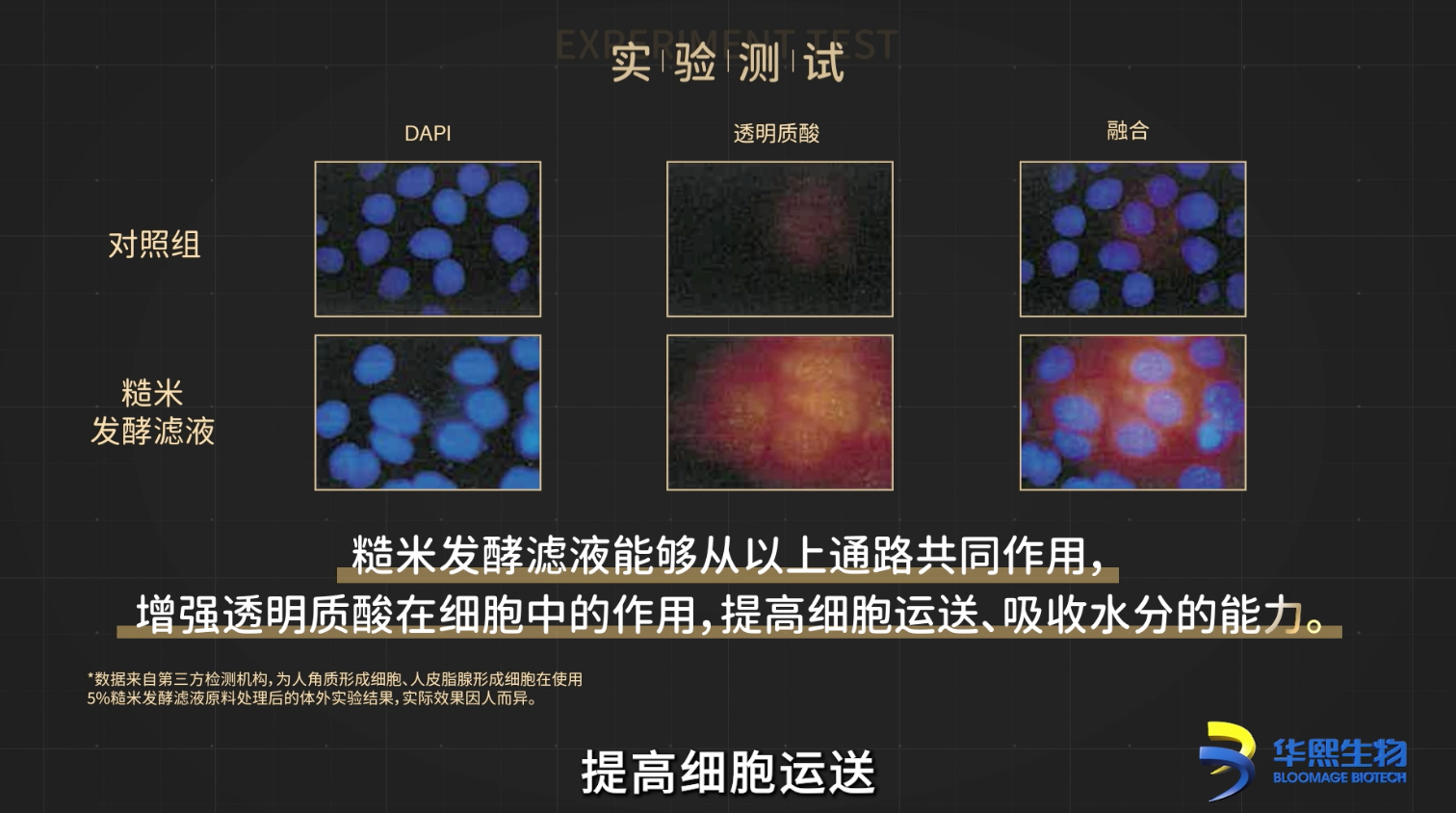 k1体育官方网站BM肌活糙米水爆火的秘密：源自华熙生物糙米发酵滤液的神奇效用(图5)