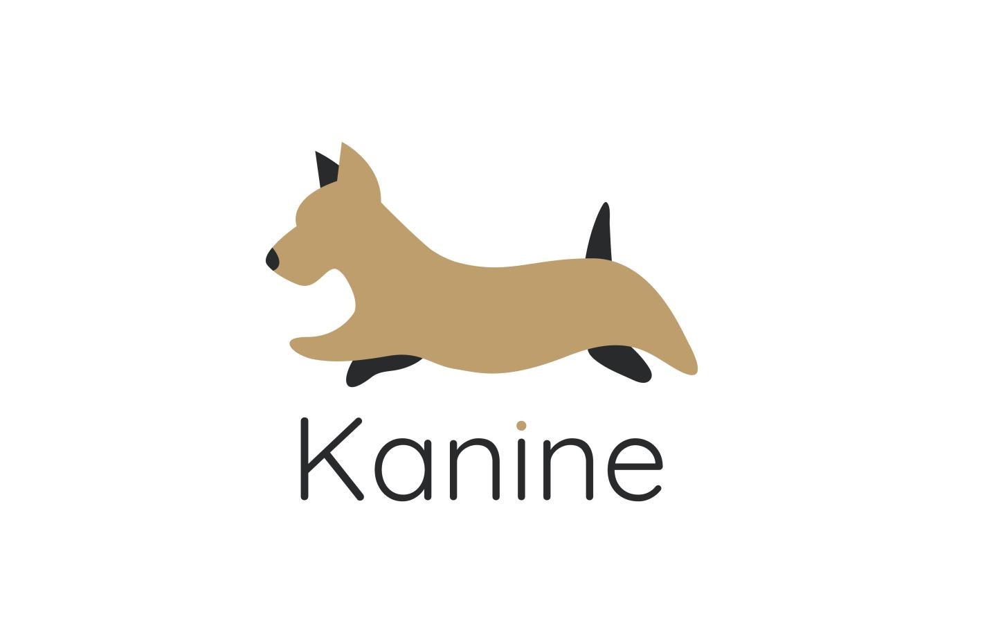 与Kanine签署全球许可协议，TOMMY HILFIGER推出宠物系列
