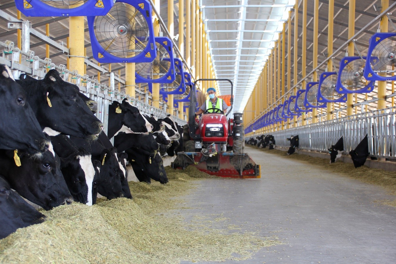 “中国奶业竞争力提升行动·数字奶牛金钥匙蒙牛专场”在宁夏召开
