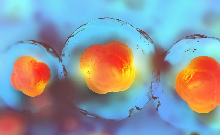 华夏源细胞集团免疫存储：抗衰低龄化趋势！抗衰你真的做对了吗？