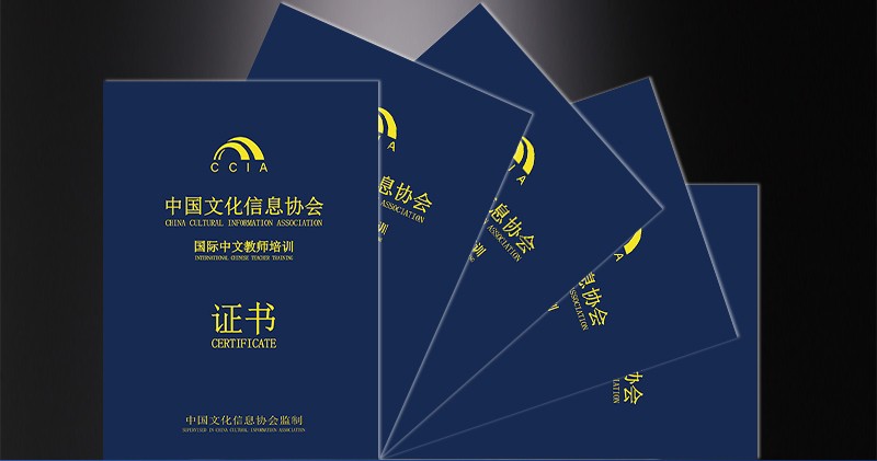 中文协汉推工委会《国际中文教师培训证书》（CPTSOL)备考指南
