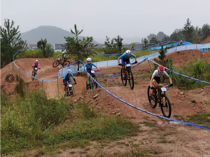 山地自行车赛事首次进入浙江省运会，赛场设在磐安古茶场边的茶山公园