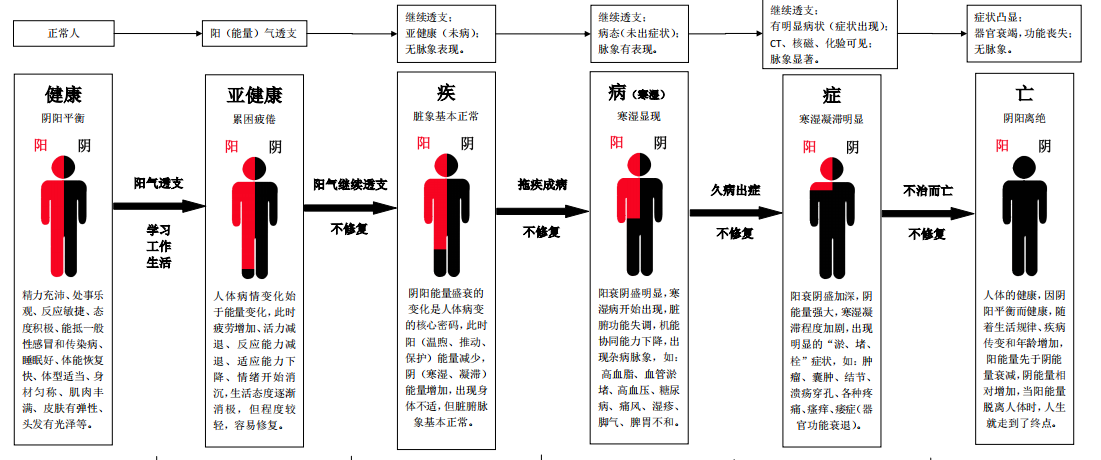 用哲科思维从人类的进化认识国粹——马文晓博士对医药的贡献