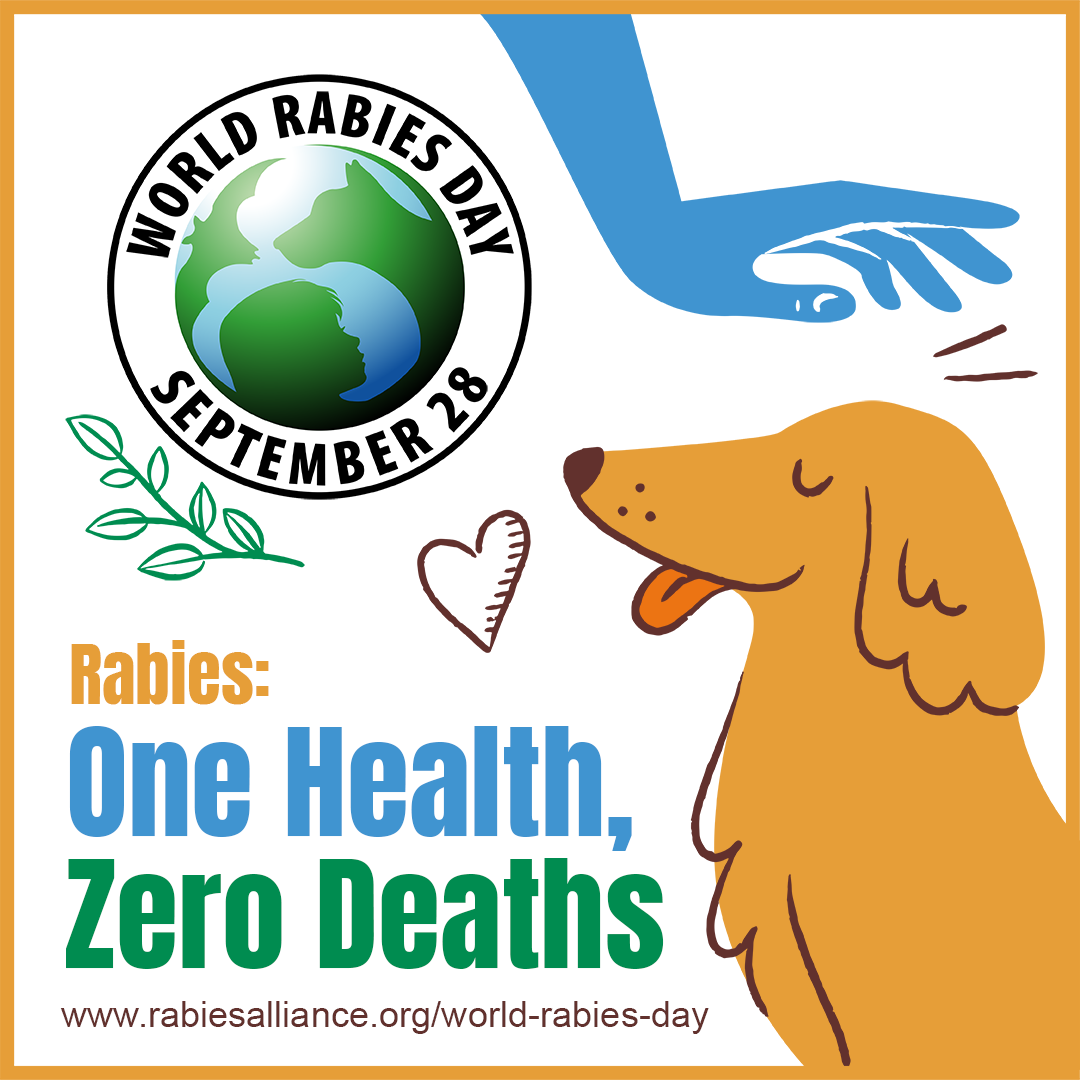 2022消除狂犬病，硕腾在行动 倡导共建动物健康社区不遗余力